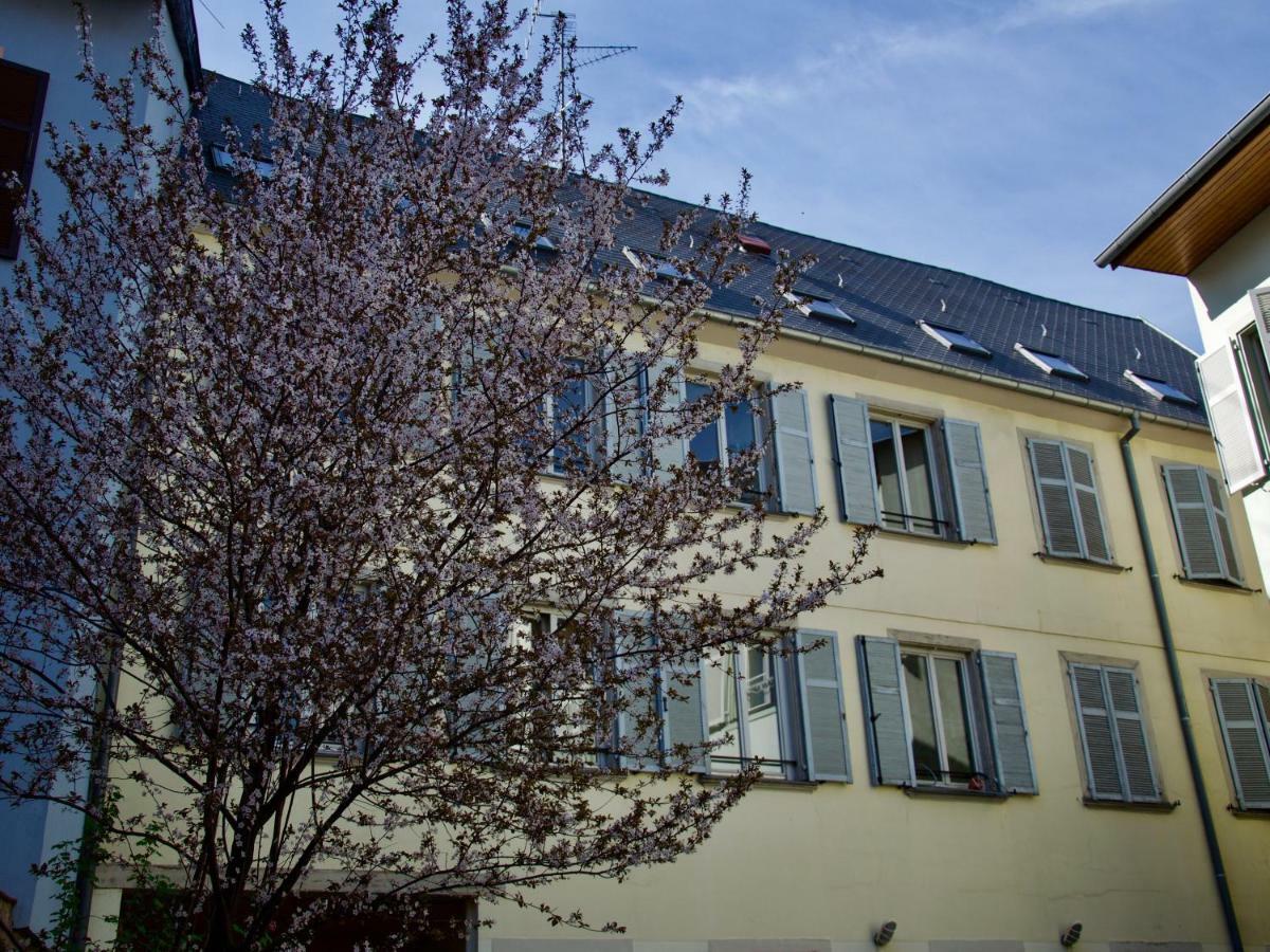 Appartement 3 Pieces, Krutenau, Parking Prive Strasbourg Exteriör bild